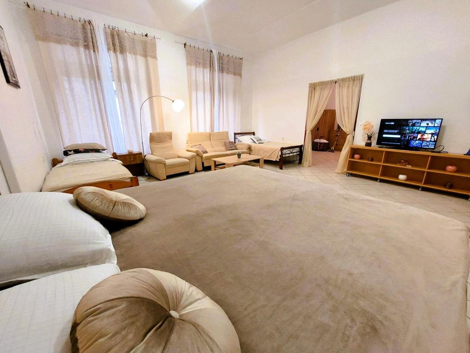 Exkluzivni Apartman V Prizemi V Hradci Kralove Hradec Kralove Exterior photo